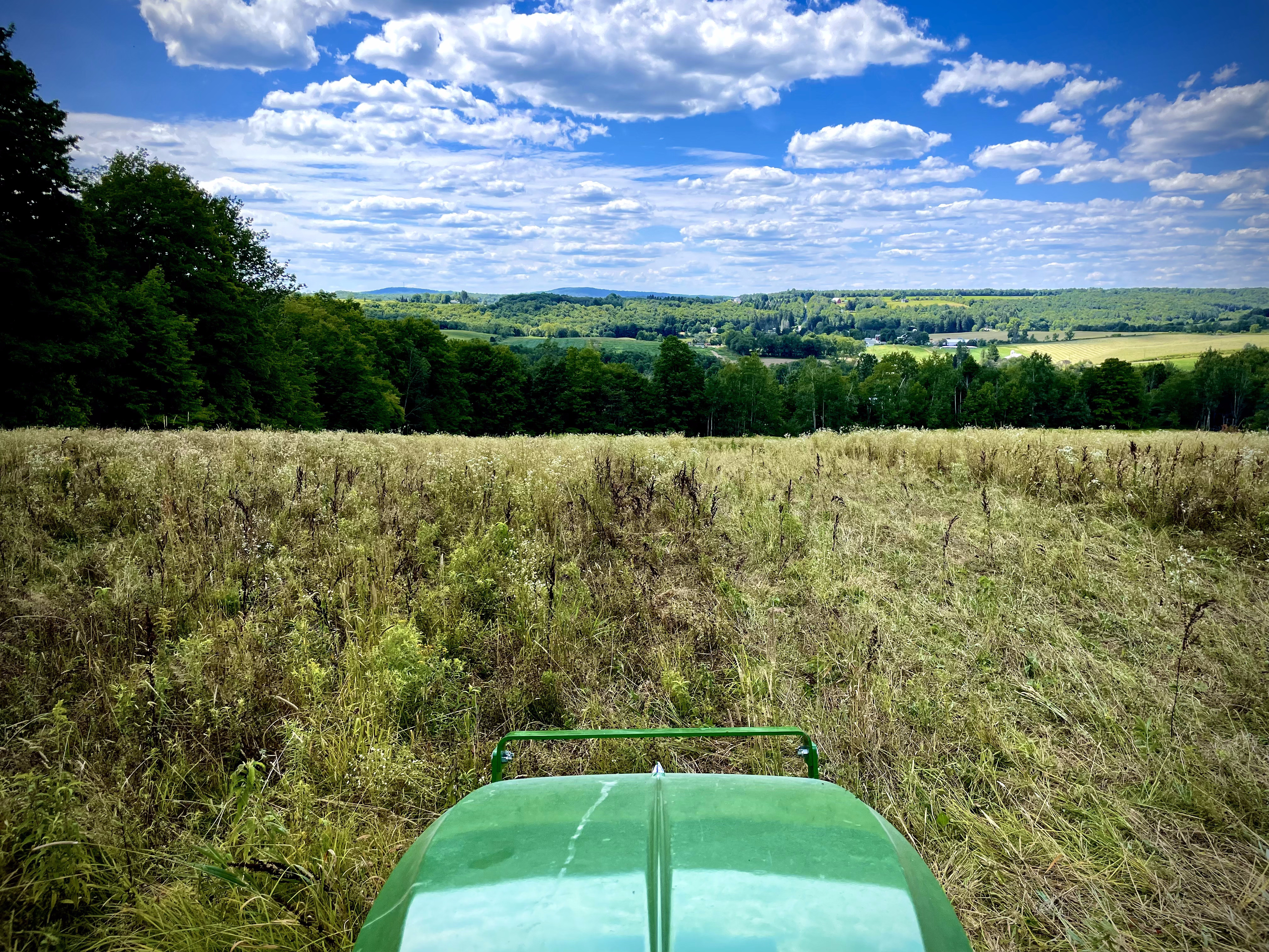 Food Plots